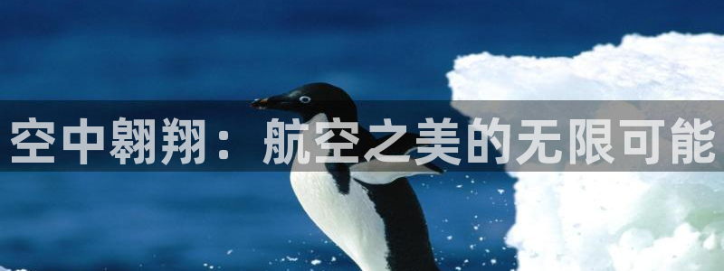 3377体育官方正版app娱乐代理怎么样：空中翱翔：