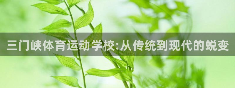 3377体育官方正版app新能源：三门峡体育运动学校