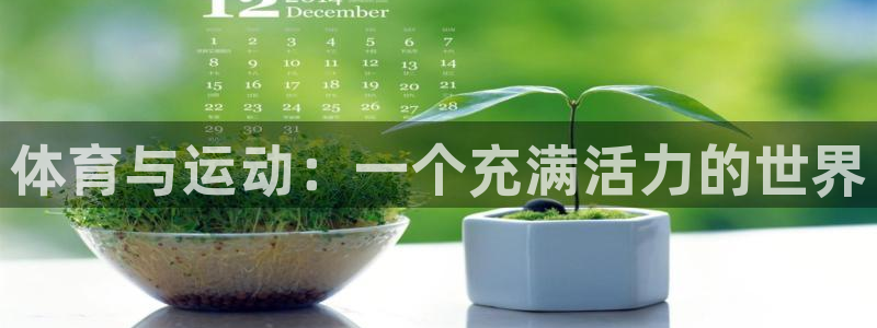 3377体育官网下载：体育与运动：一个充满活力的世界
