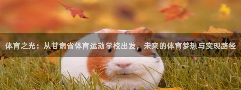 3377体育官网下载招商电话是多少号码：体育之光：从