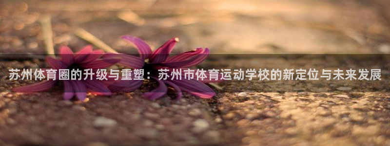 3377体育官方正版app娱乐代理怎么样：苏州体育圈