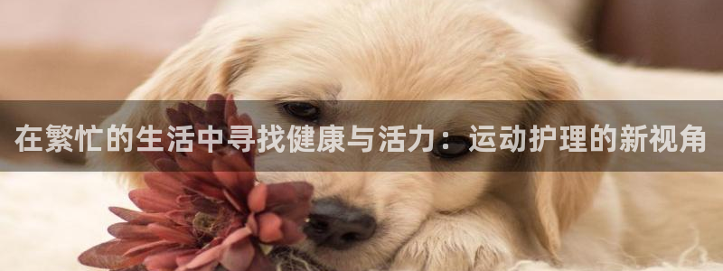 3377体育官网下载是干嘛的公司：在繁忙的生活中寻找