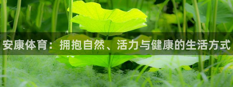 3377体育官网下载招商电话地址是多少：安康体育：拥