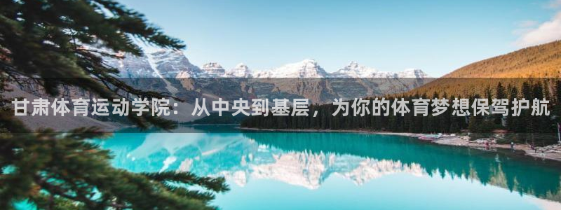 3377体育官方正版app五金厂：甘肃体育运动学院：