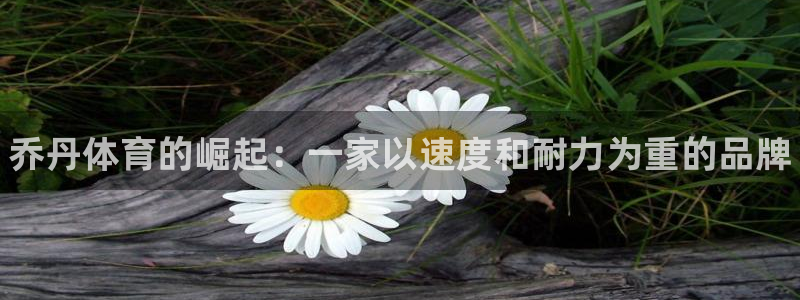 3377体育官方正版app新能源：乔丹体育的崛起：一