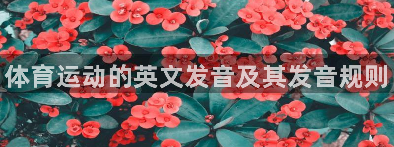 3377体育官方正版app新能源