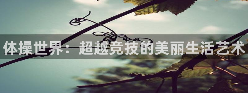 3377体育官网下载平台是正规平台吗：体操世界：超越