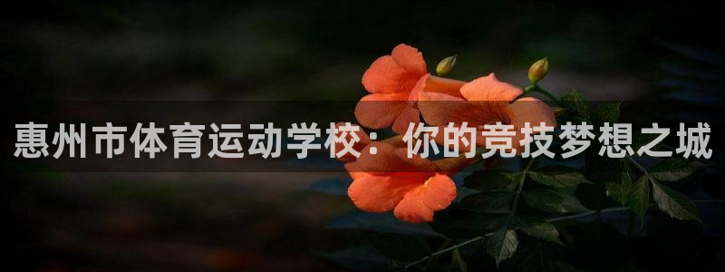 3377体育官网下载平台APP：惠州市体育运动学校：你的竞技