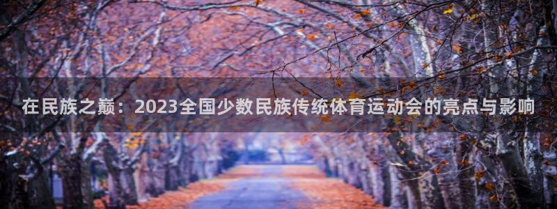 3377体育官方正版app代理：在民族之巅：2023全国少数