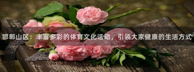 3377体育官方正版app集团logo：邯郸山区：丰富多彩的