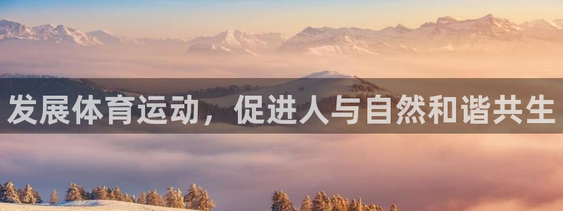 3377体育官方正版app集团简介：发展体育运动，促进人与自