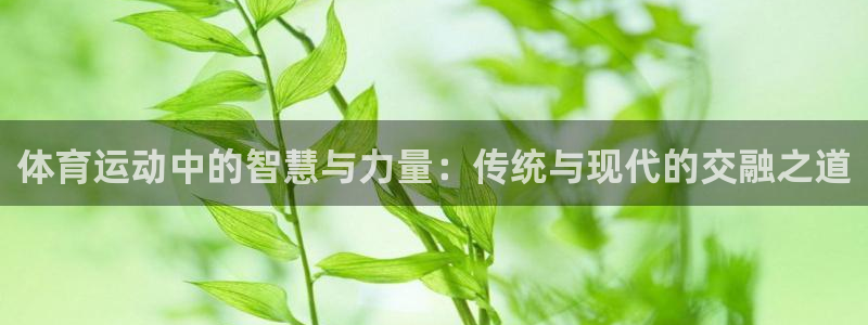 3377体育官方正版app娱乐首页网站大全：体育运动中的智慧