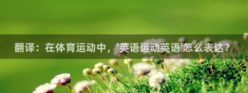 3377体育官方平台体育：翻译：在体育运动中，\'英