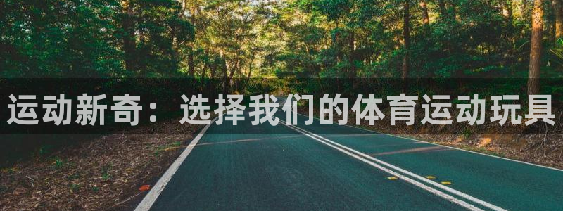 3377体育官方正版app集团简介：运动新奇：选择我