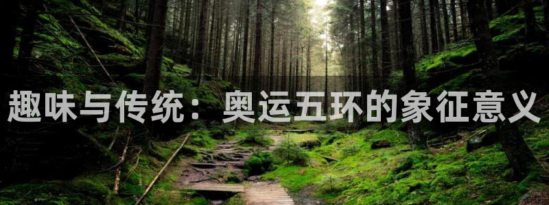 注册3377体育官方正版app：趣味与传统：奥运五环的象征意