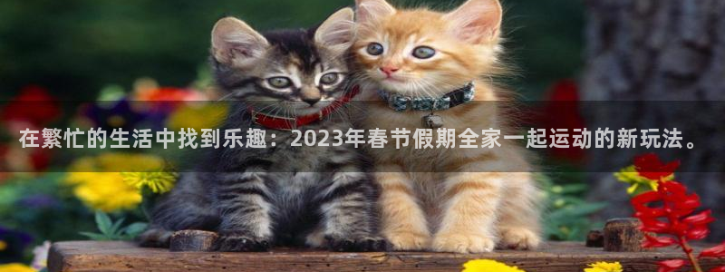 3377体育官方正版app集团官网网址：在繁忙的生活中找到乐
