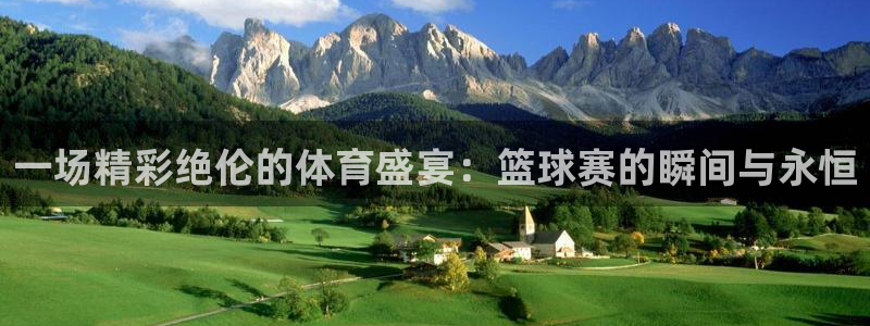 3377体育官网下载是干嘛的公司：一场精彩绝伦的体育盛宴：篮