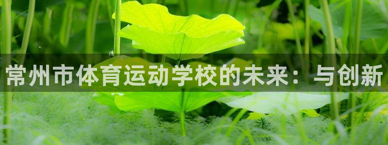 3377体育官网下载平台是正规平台吗知乎