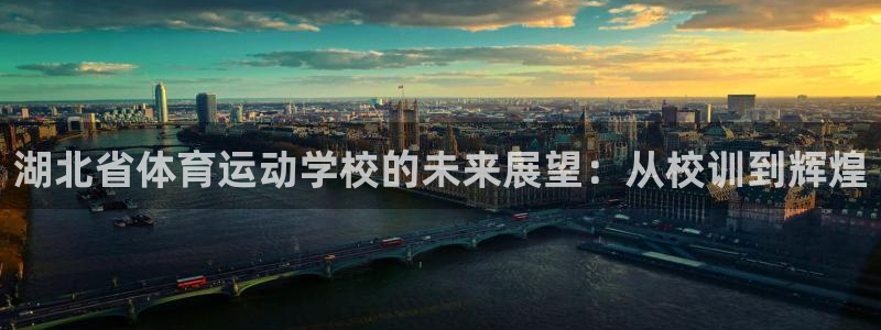 3377体育官方正版app娱乐下载：湖北省体育运动学校的未来