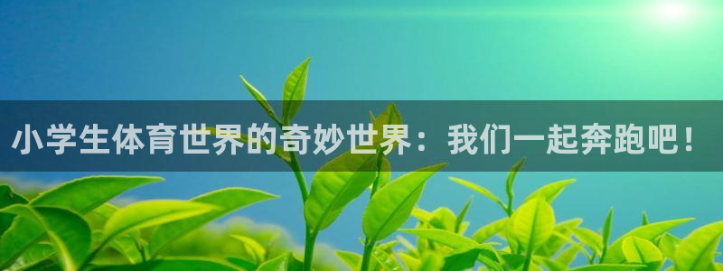 3377体育官方正版app集团官网首页：小学生体育世界的奇妙
