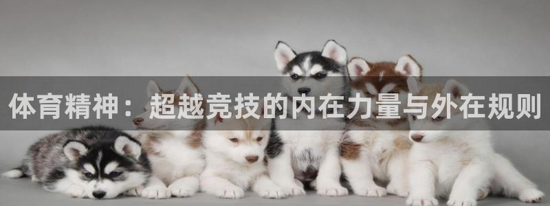 3377体育官网下载平台注册要钱吗是真的吗：体育精神：超越竞