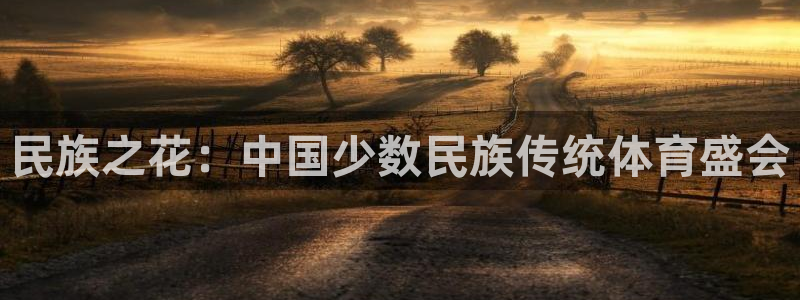 3377体育官方正版app集团官网首页网址：民族之花：中国少