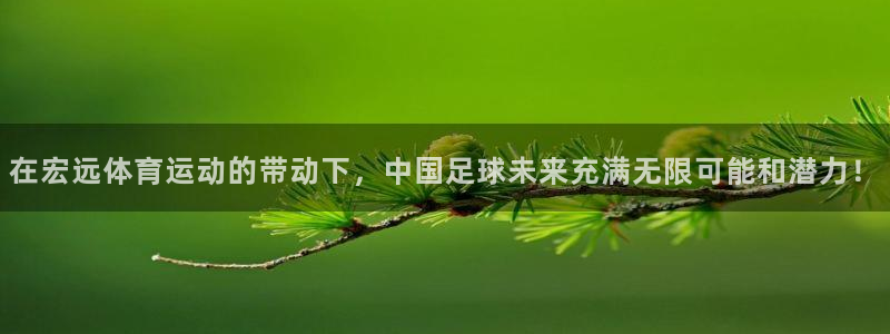 3377体育官网下载平台是正规平台吗安全吗：在宏远体育运动的